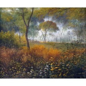 Abu Hanzla, 22 x 26 Inch, Oil on Canvas, Landscape Painting, AC-ABH-006